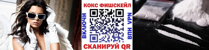 Cocaine FishScale  где купить   Надым 
