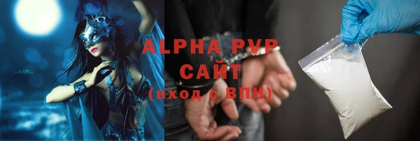амф Щучье