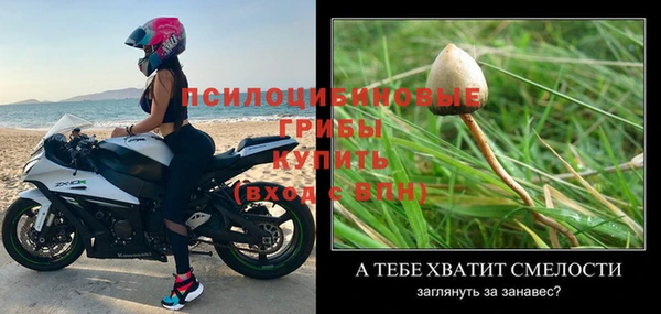 дживик Дмитров