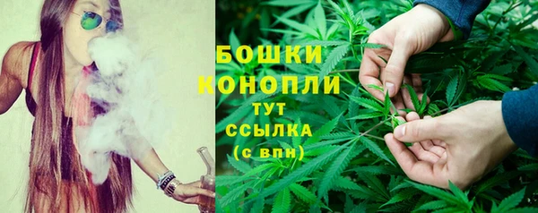дживик Дмитров