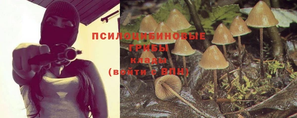 метамфетамин Дмитриев