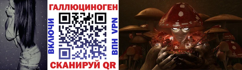 магазин продажи   Надым  Галлюциногенные грибы Cubensis 