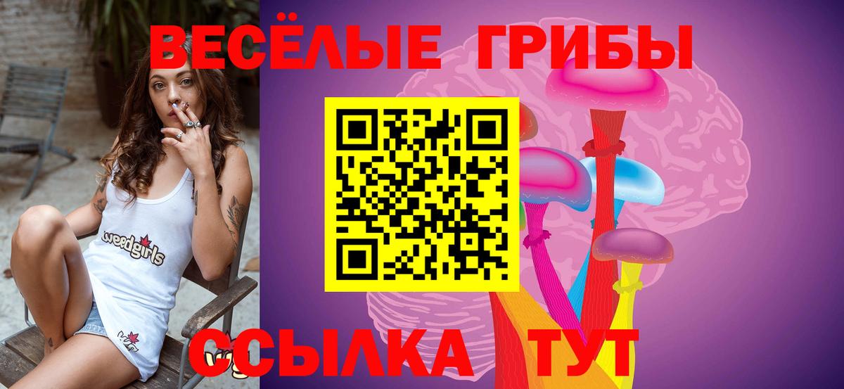 Галлюциногенные грибы Psilocybe  Вход с VPN  Надым 