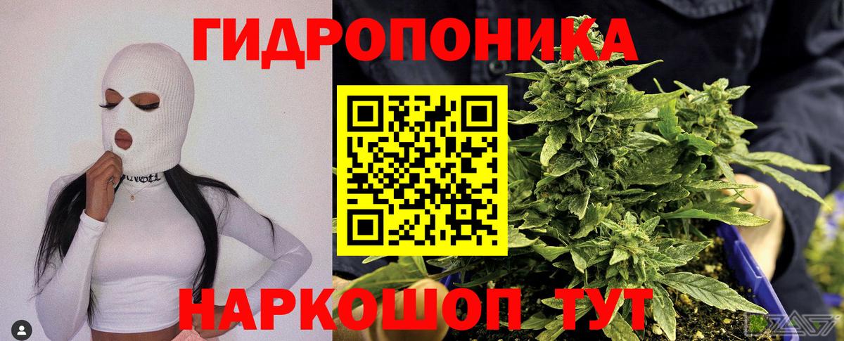 Бошки Шишки семена Надым